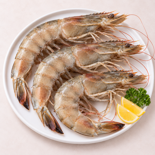 XXL Wildfang Braungarnele 1 Kg (10-12 Stk./Kg)